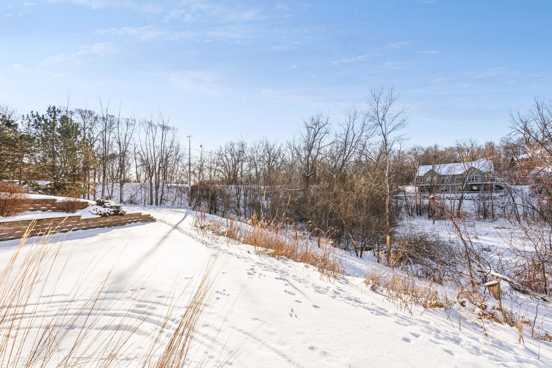 Back yard of Townhome